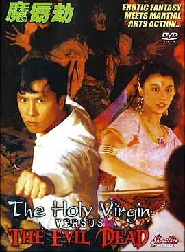 新来的女律师